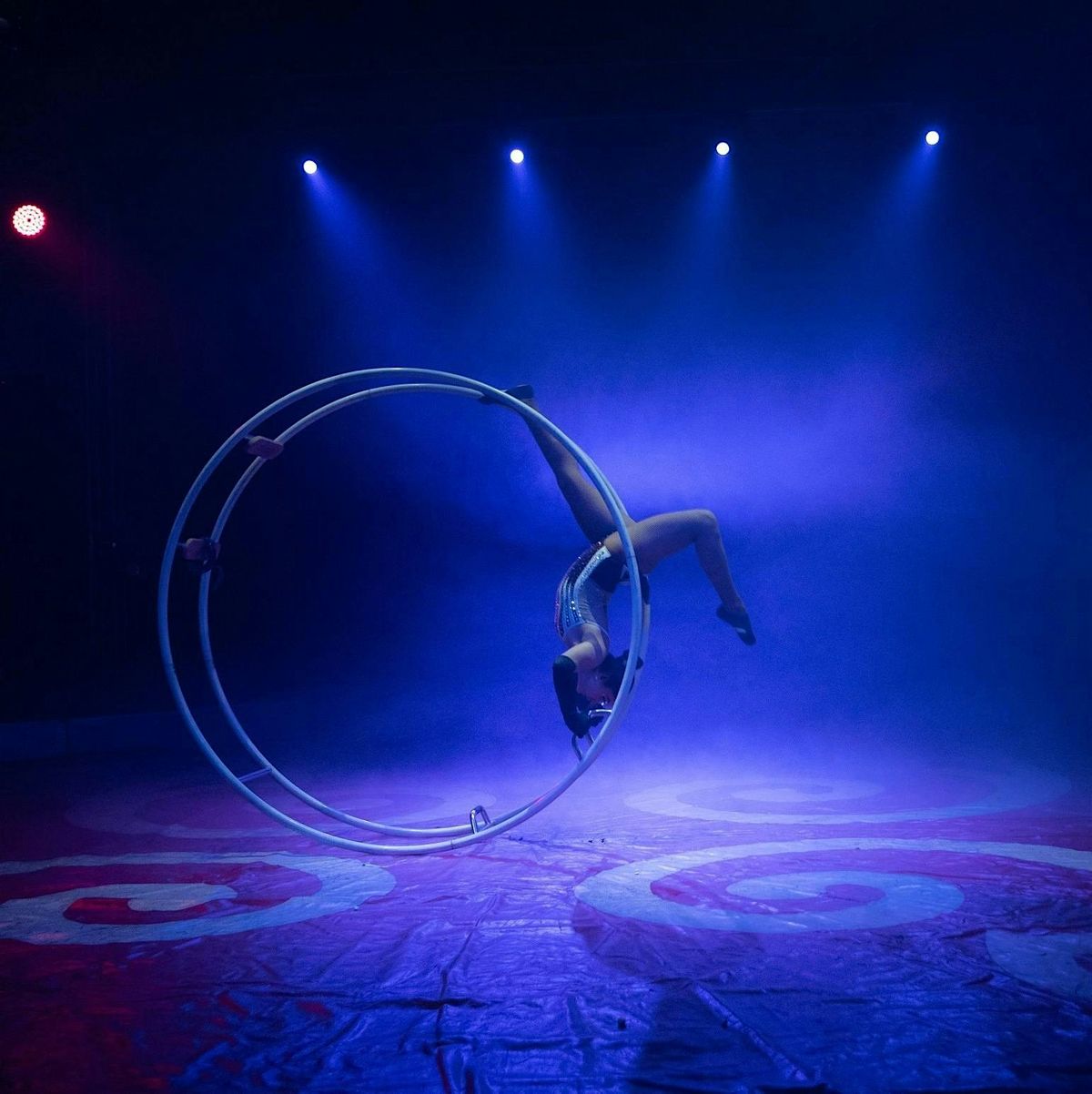Do Portugal Circus La Crosse, Wisconsin Aug 21st till Aug 24th