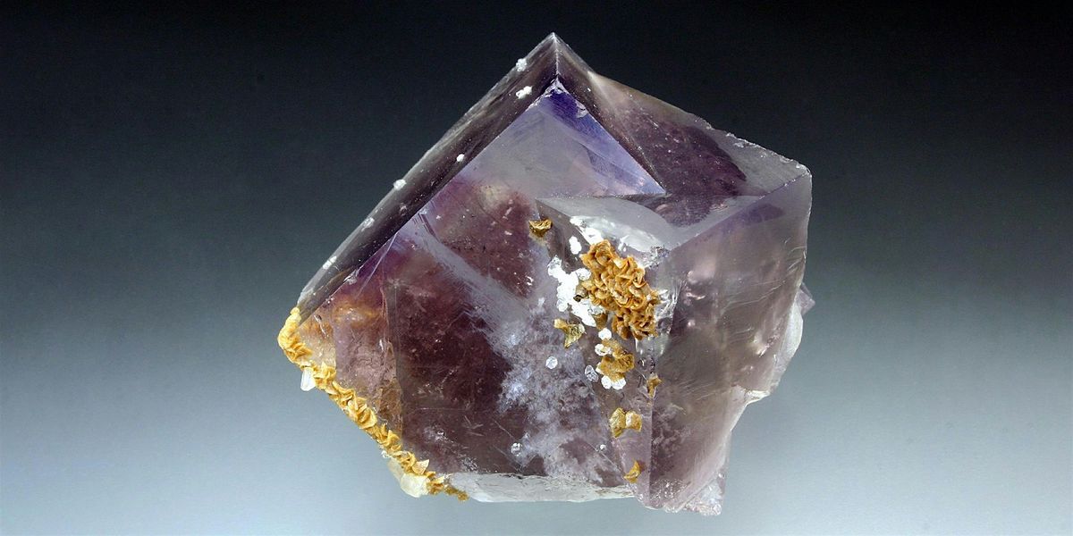 Jesse Fisher Talk for the TFMG's 'Thanksgiving Showcase'