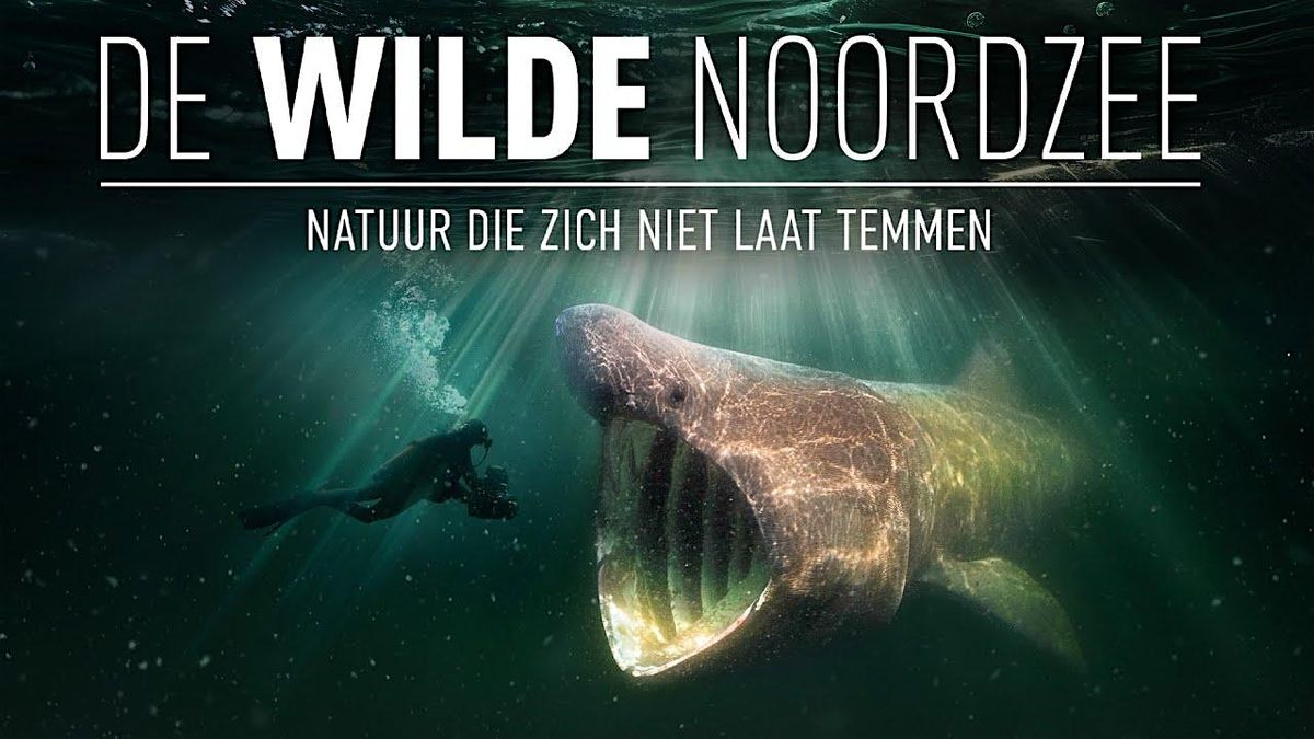 Filmvertoning: De wilde Noordzee