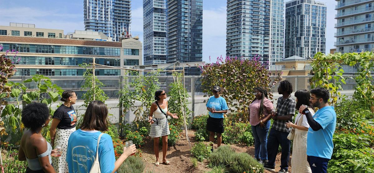 Learning Circle: Black Food Sovereignty & Indigenous Foodways