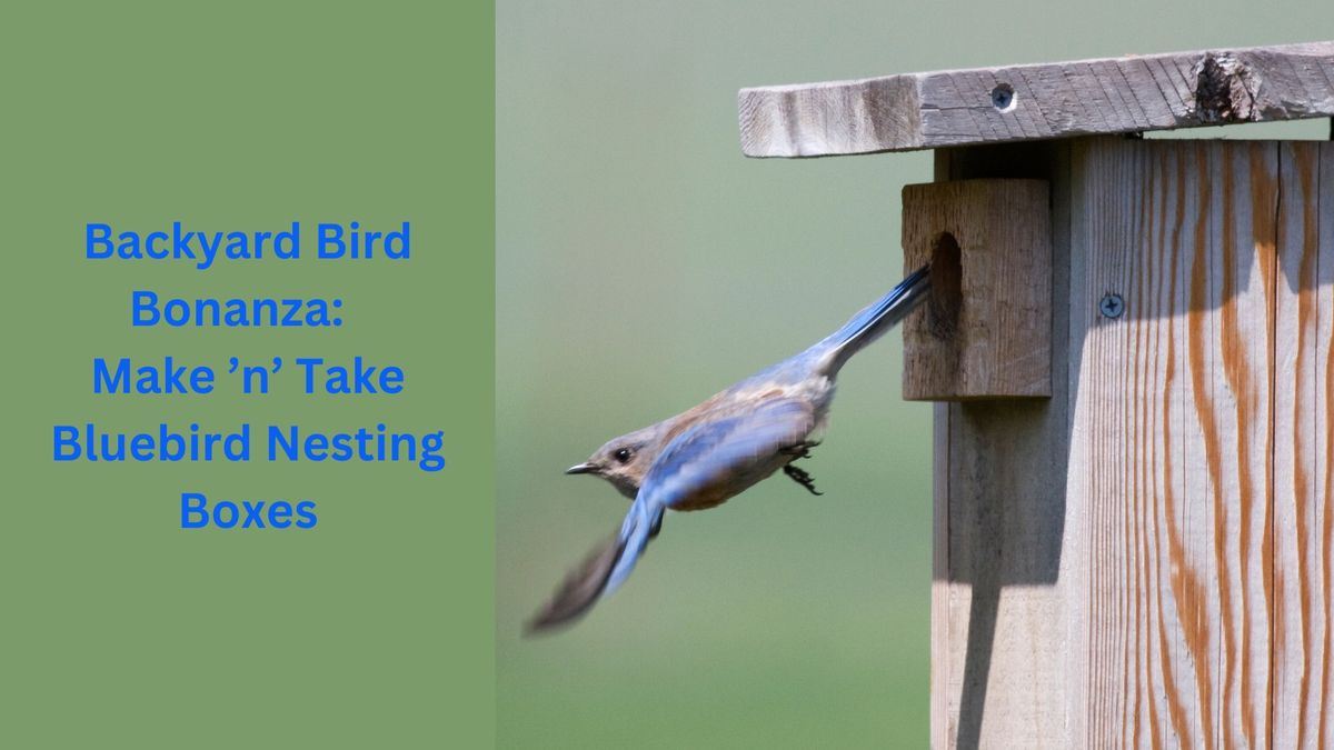 Backyard Bird Bonanza:  Make \u2019n\u2019 Take Bluebird Nesting Boxes