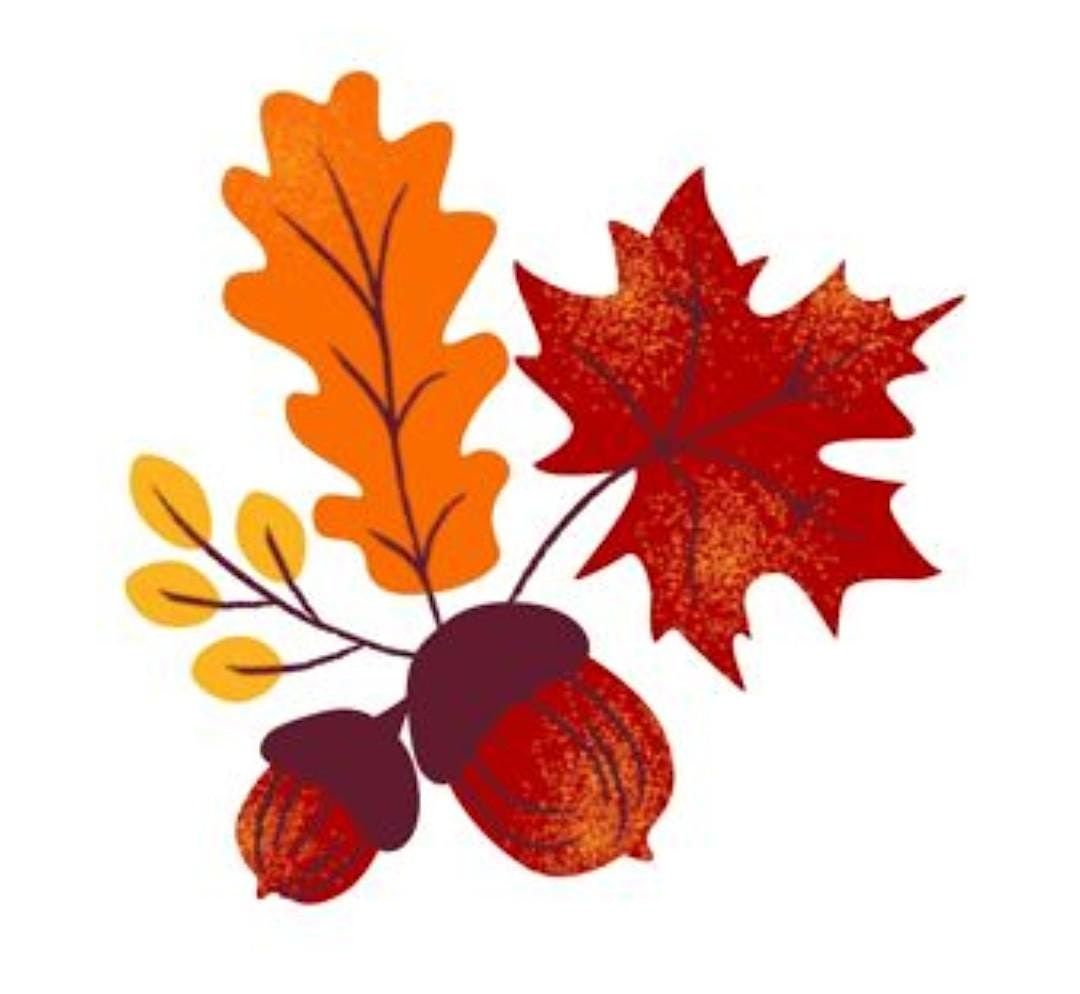 Pencil Drawing Acorn Branches, Art Class for kids of age 5-13