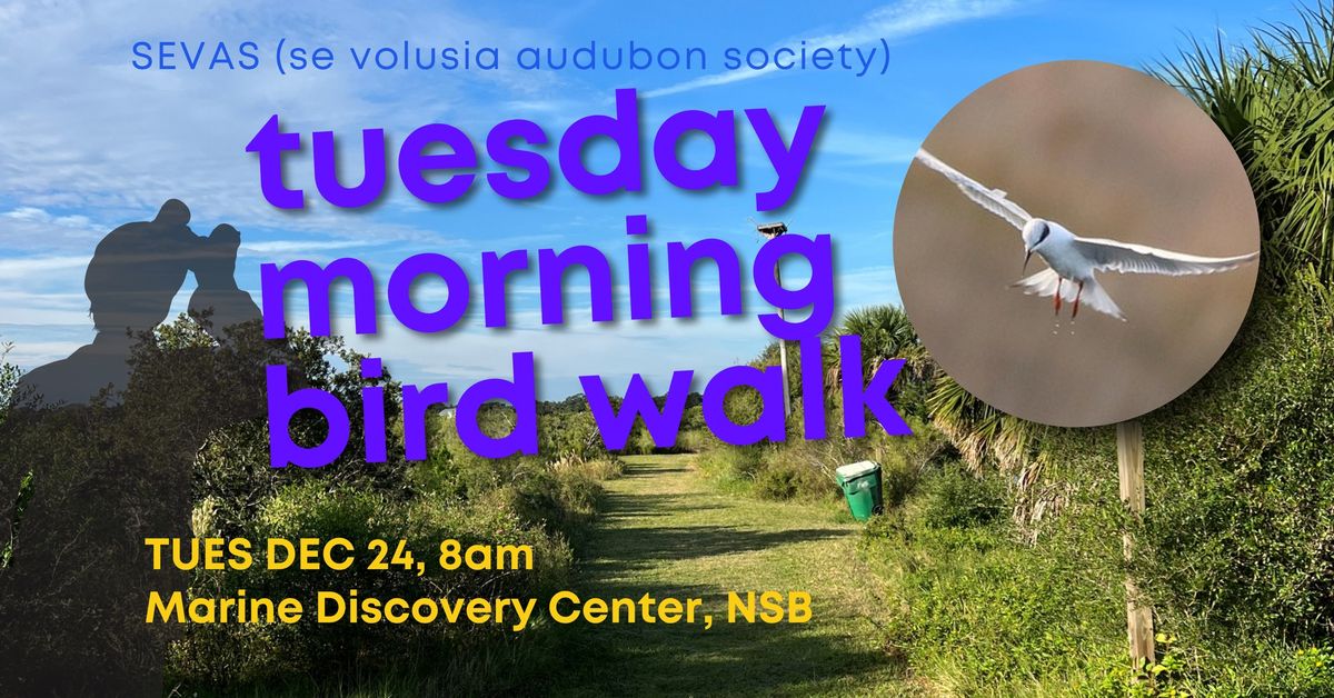 Tuesday Morning Bird Walk - Marine Discovery Center