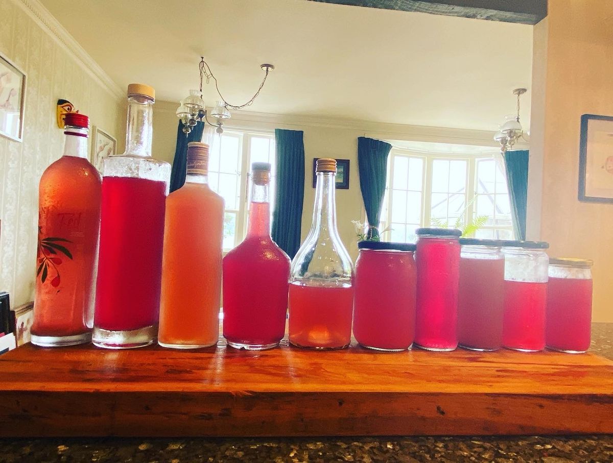 P\u014dhutukawa Cordial Making Workshop $30-50