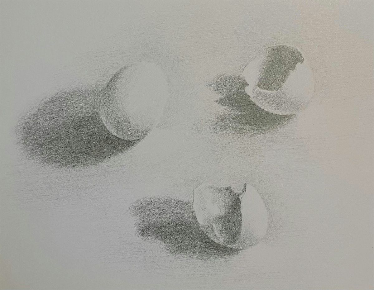 Observational Drawing Class