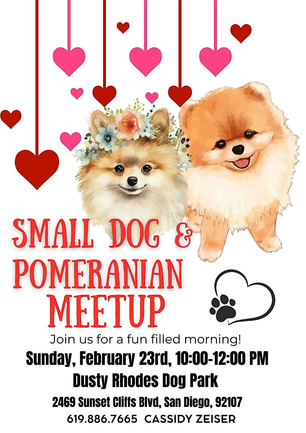 Small Dog and Pom Pom Meetup