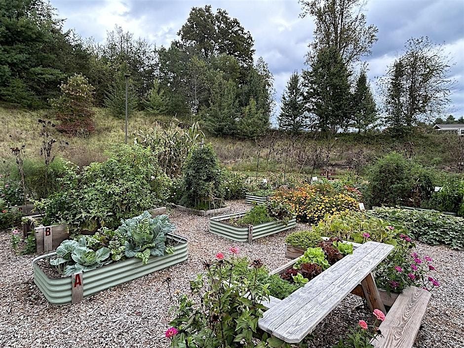 Learn to Grow: Planning a Vegetable Gardening