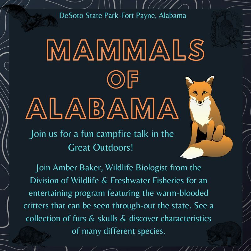 Campfire Talk: Mammals of Alabama