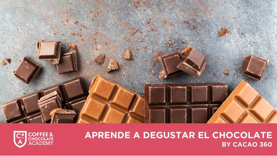 APRENDE A DEGUSTAR EL CHOCOLATE