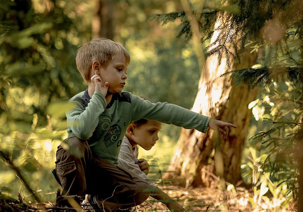 Sunhouse Outdoor Academy Summer Camps 2025 ages 3-5