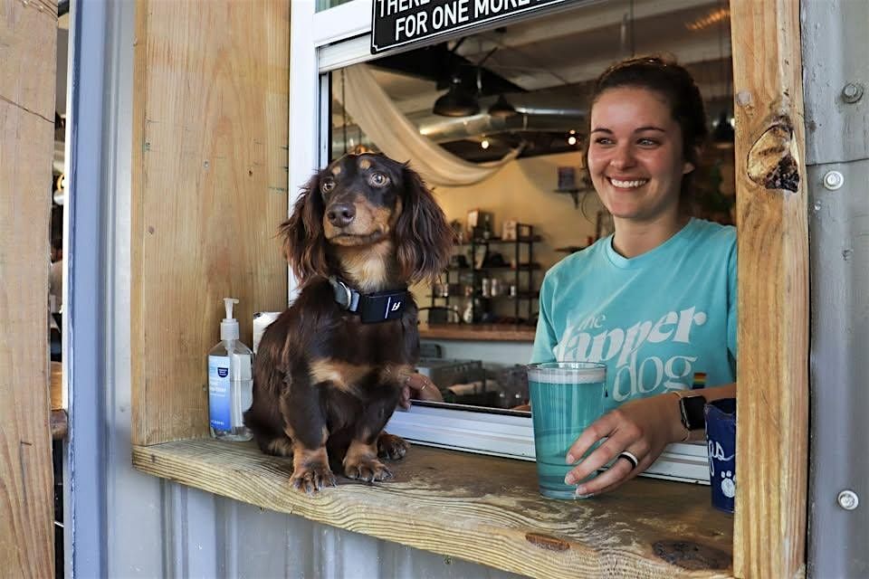 Dachshund Meetup at The Dapper Dog w\/ Dachshunds of Greenville