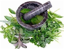 Herbal Medicine 101