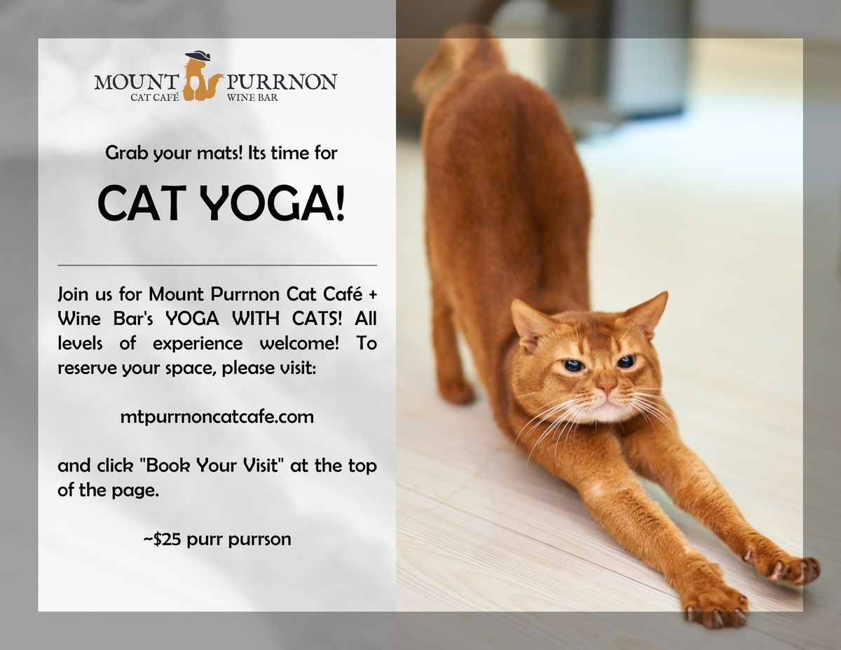 Yoga with Cats