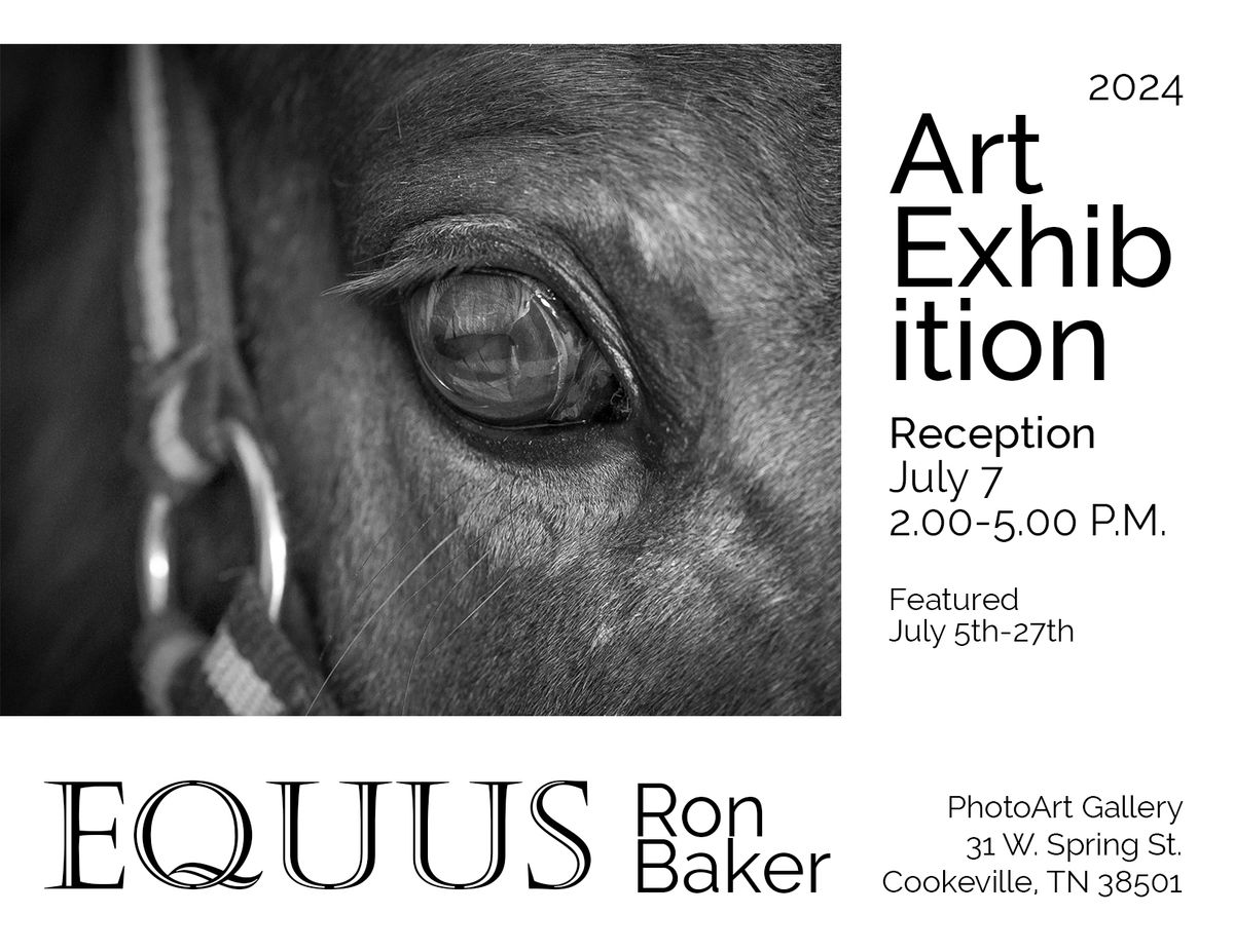 EQUUS an Art Exhibition by Ron Baker