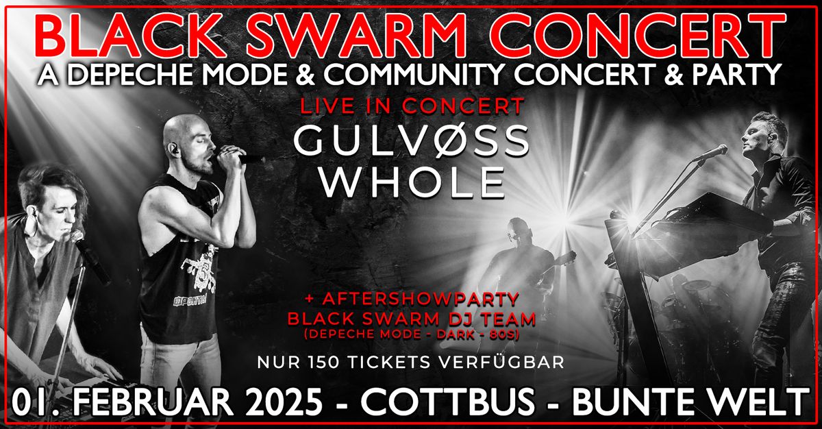 BLACK SWARM CONCERT + Party