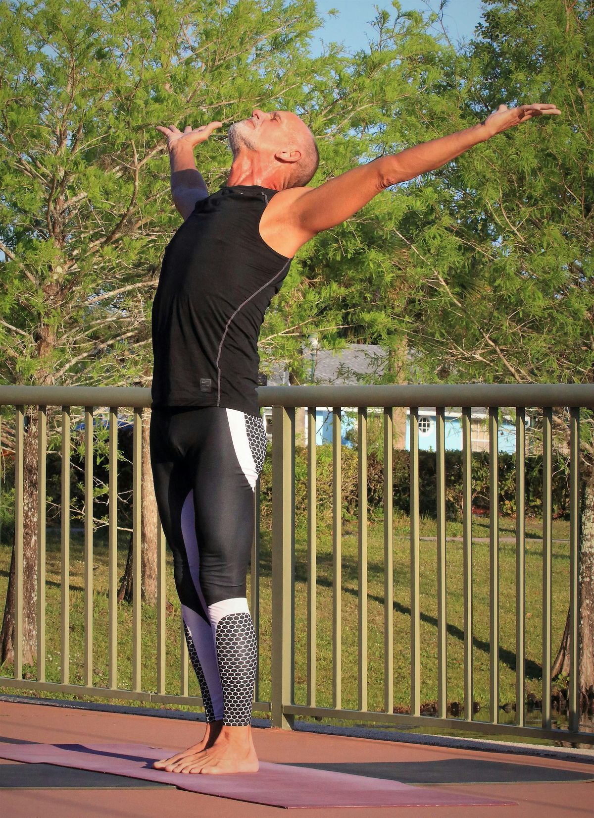 Hatha Yoga Under the Shade of Tradition's Gazebo