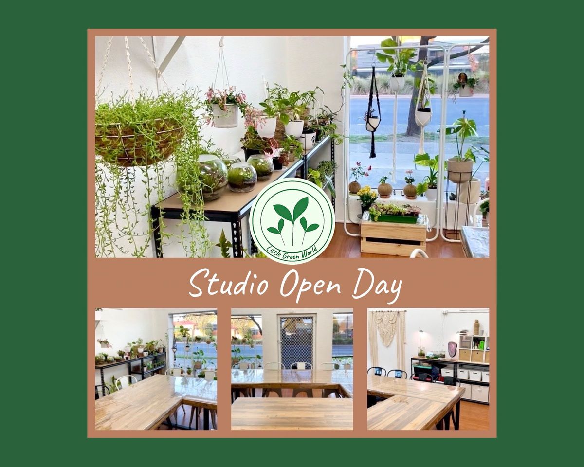 Studio Open Day- Little Green World