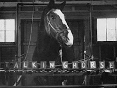 Guided Historic Walking Tour