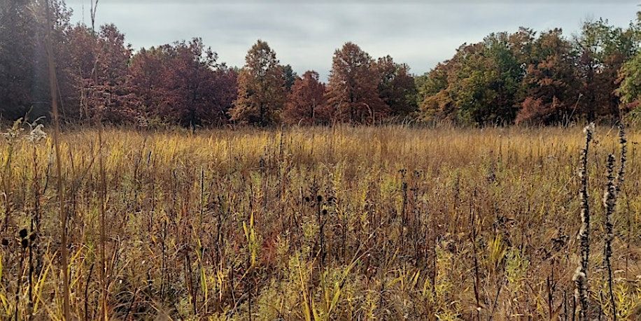 Caldwell Woods Fall Foliage walk