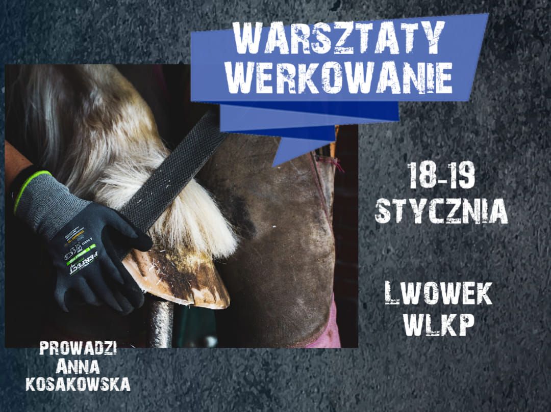 Warsztaty werkowania z Ann\u0105 Kosakowsk\u0105