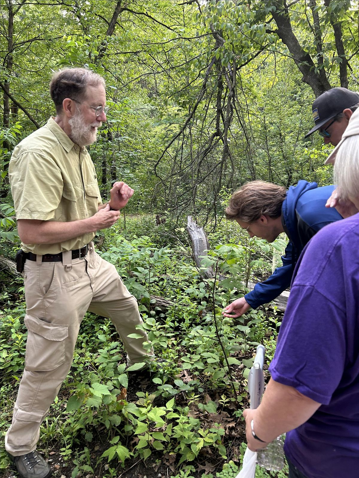 Nature Walk with a Naturalist: Plants Are Smarter Than You Think