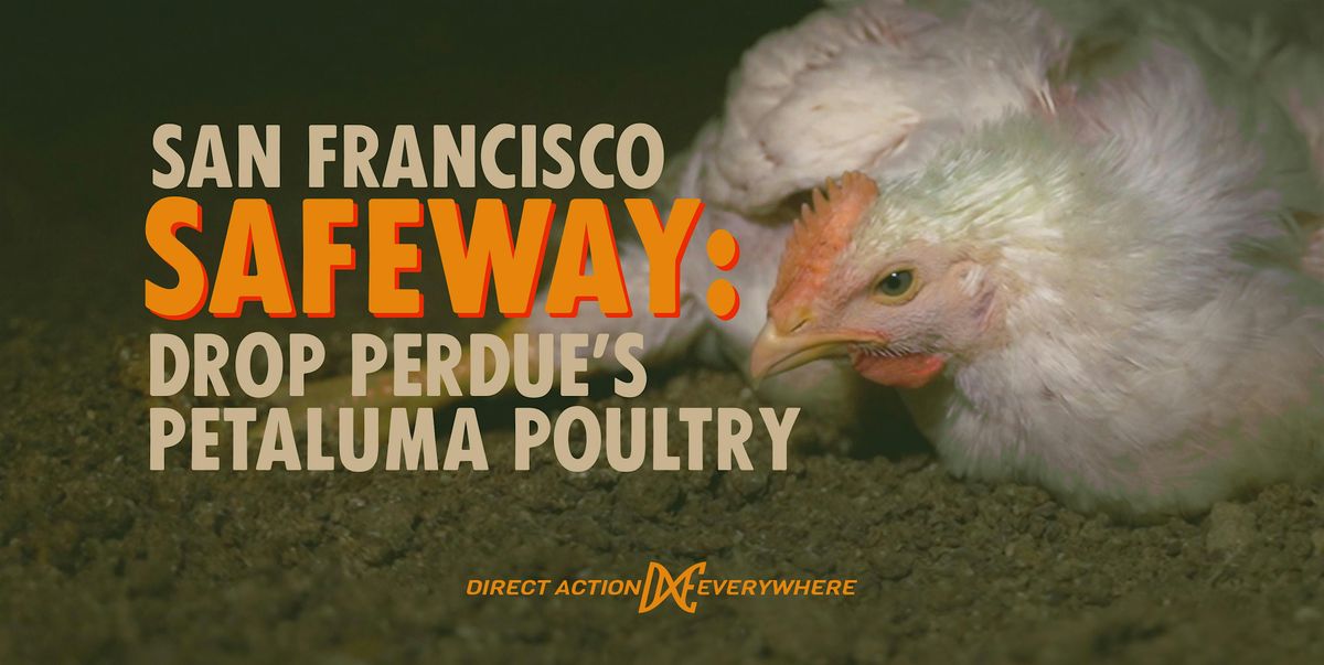 San Francisco: Safeway, Drop Perdue's Petaluma Poultry