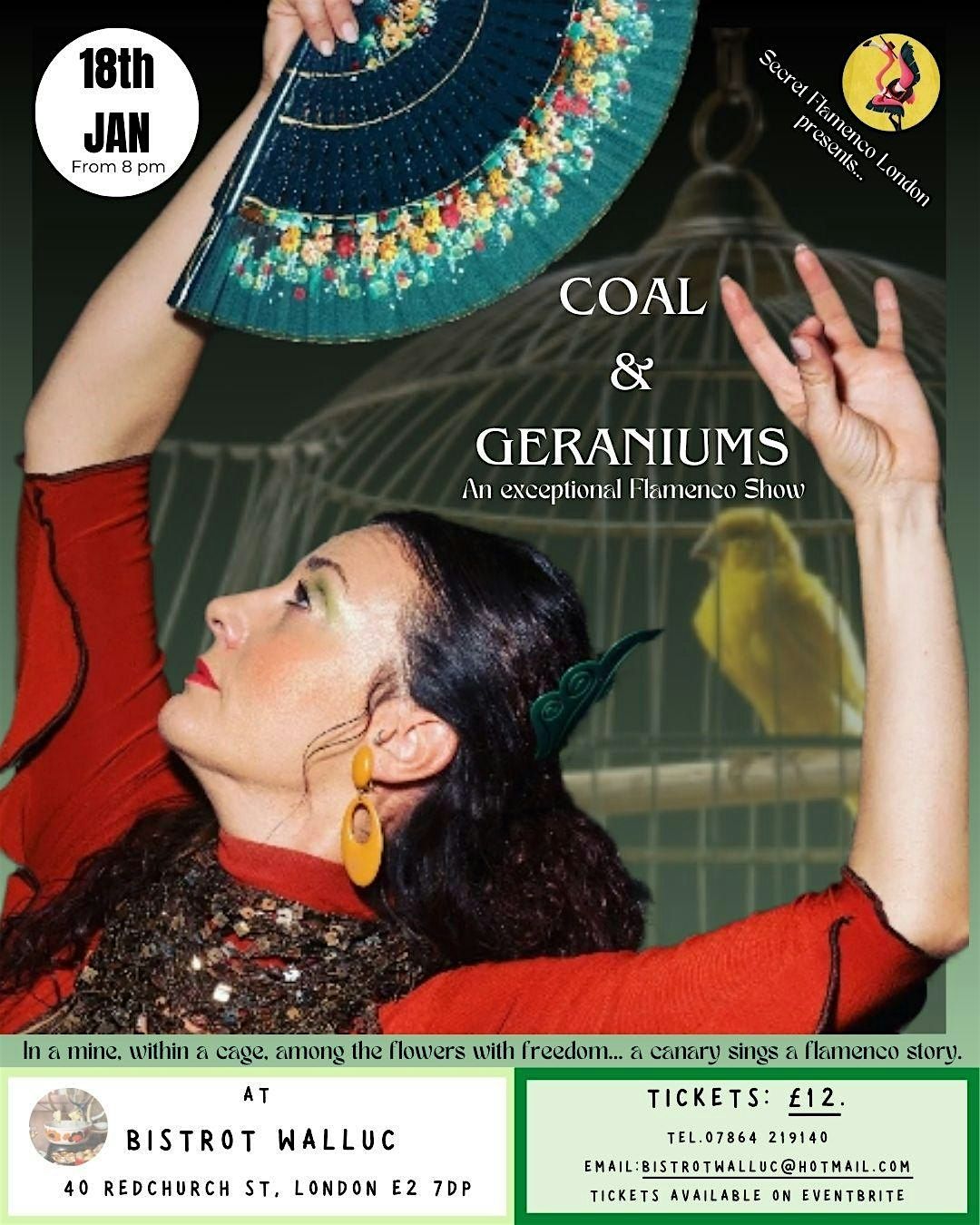 COAL & GERANIUMS: An Exceptional Flamenco Show.