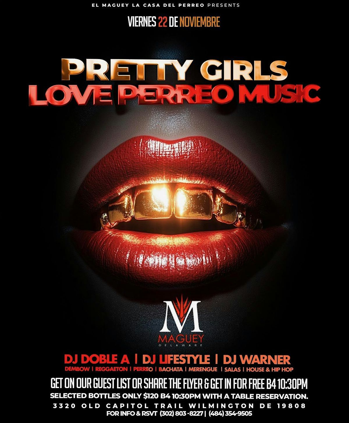 Pretty Girls Love Perreo Party