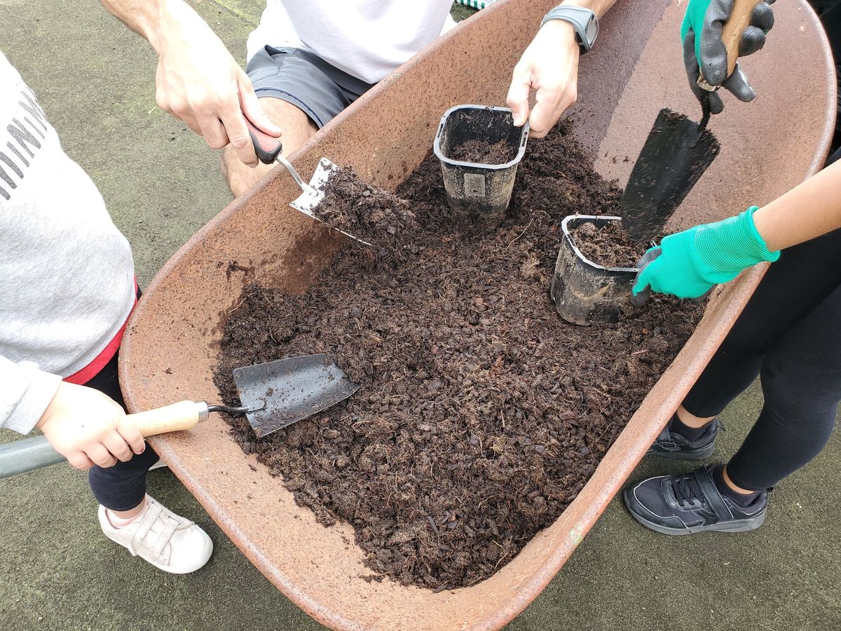 Gardening at the Hub