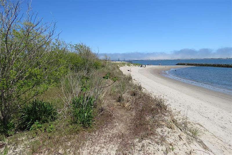 Plumb Beach Clean Up