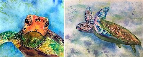 Sea Turtle Paintings with Brusho and Watercolors with Phyllis Gubins