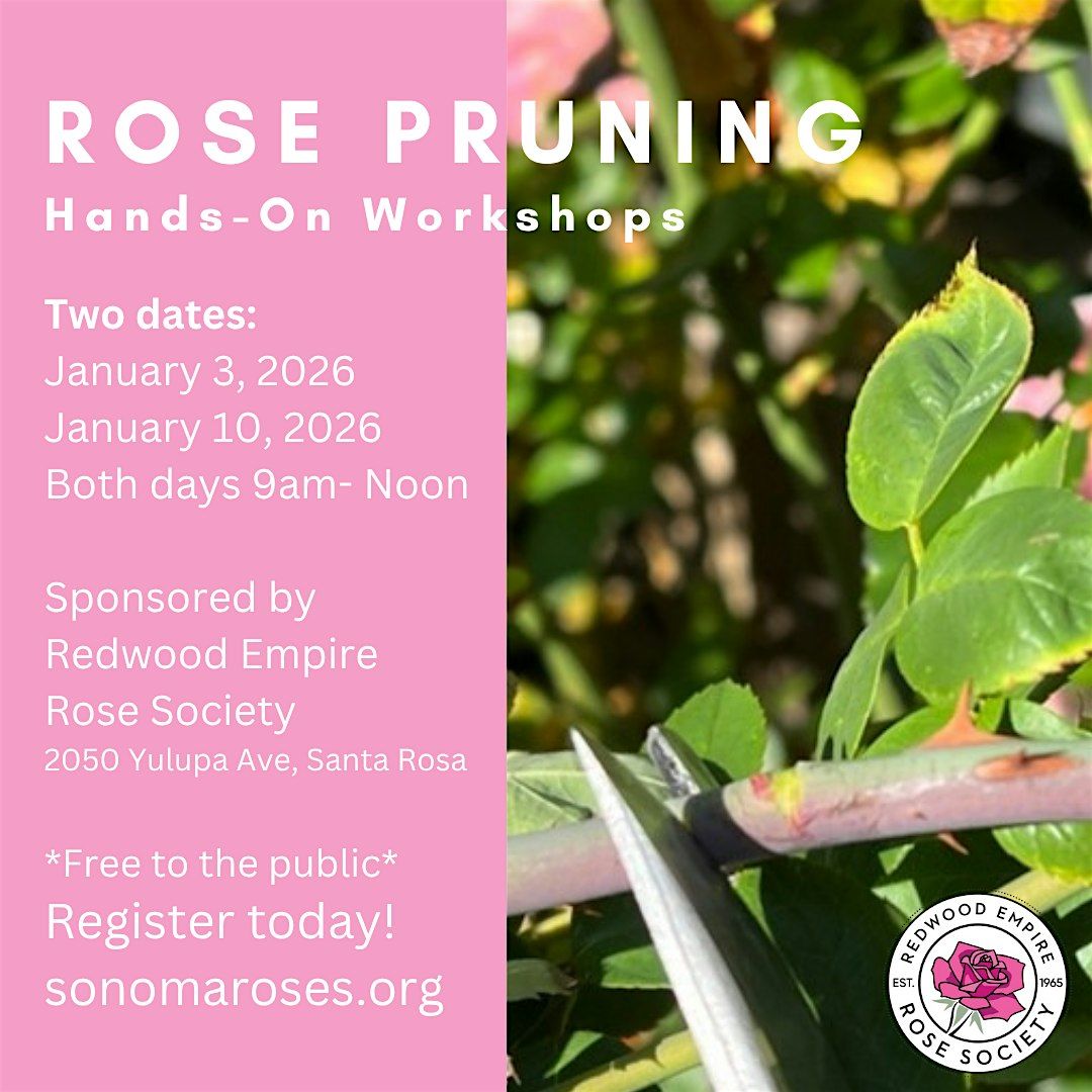 Annual Rose Pruning Workshops