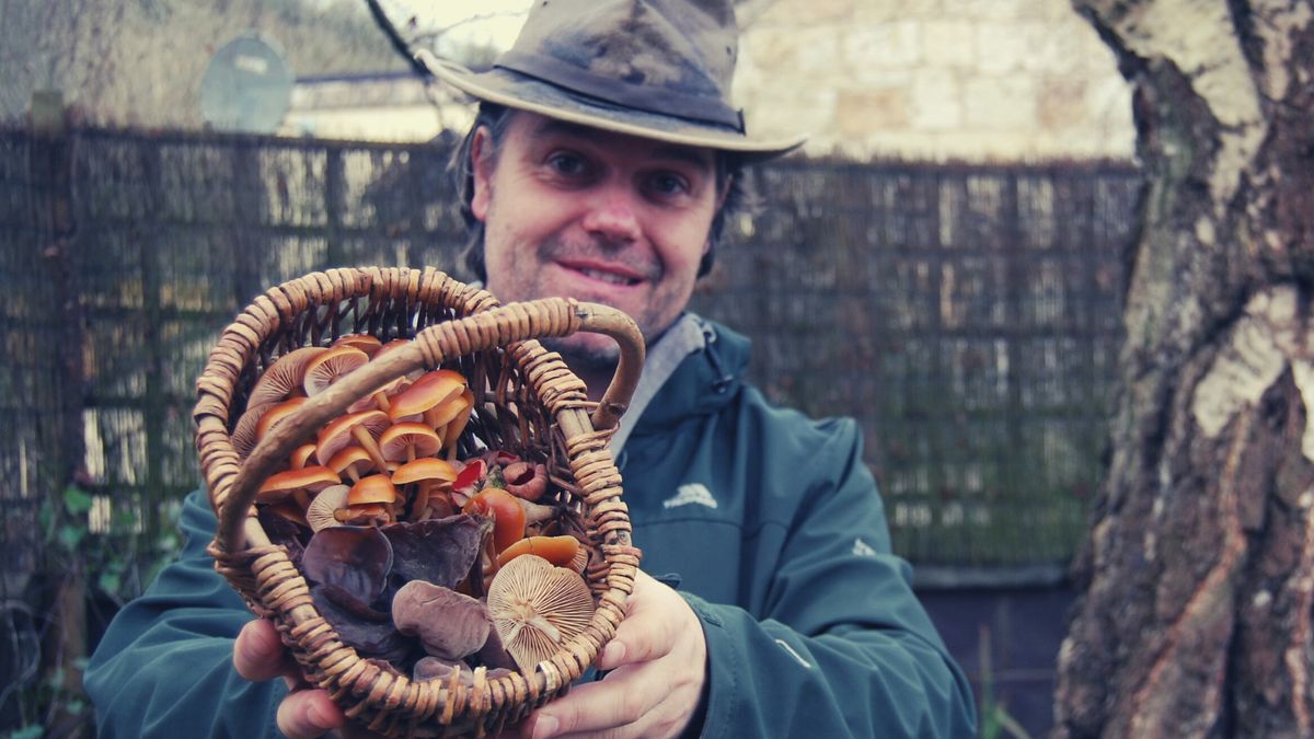 Winter Foraging Walk