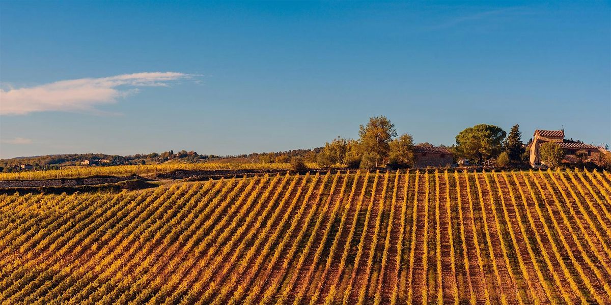 Uncorked: Chianti Classico Masterclass