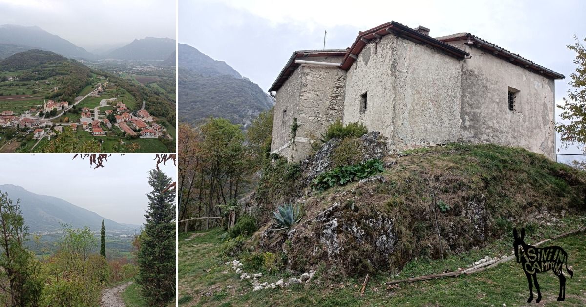 A passo d'asino alla scoperta dell'eremo di Meda 