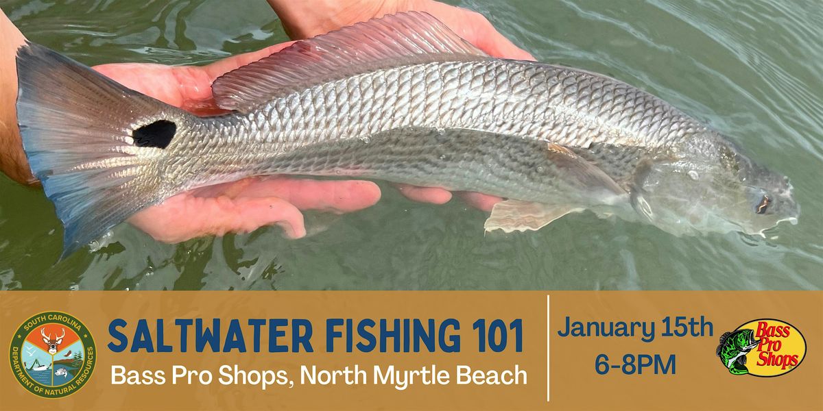 Saltwater Fishing 101