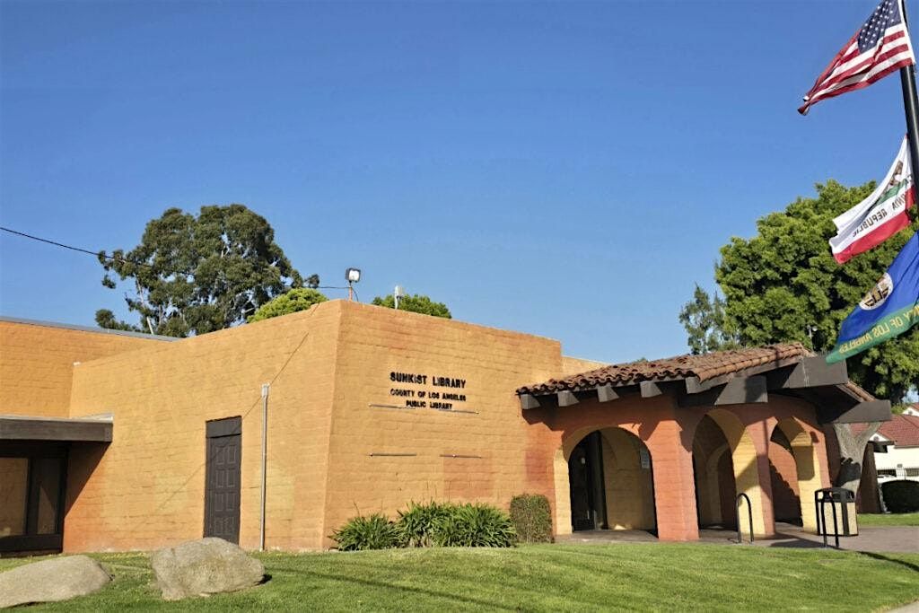 Free Digital Skills Training Session at Sunkist Library