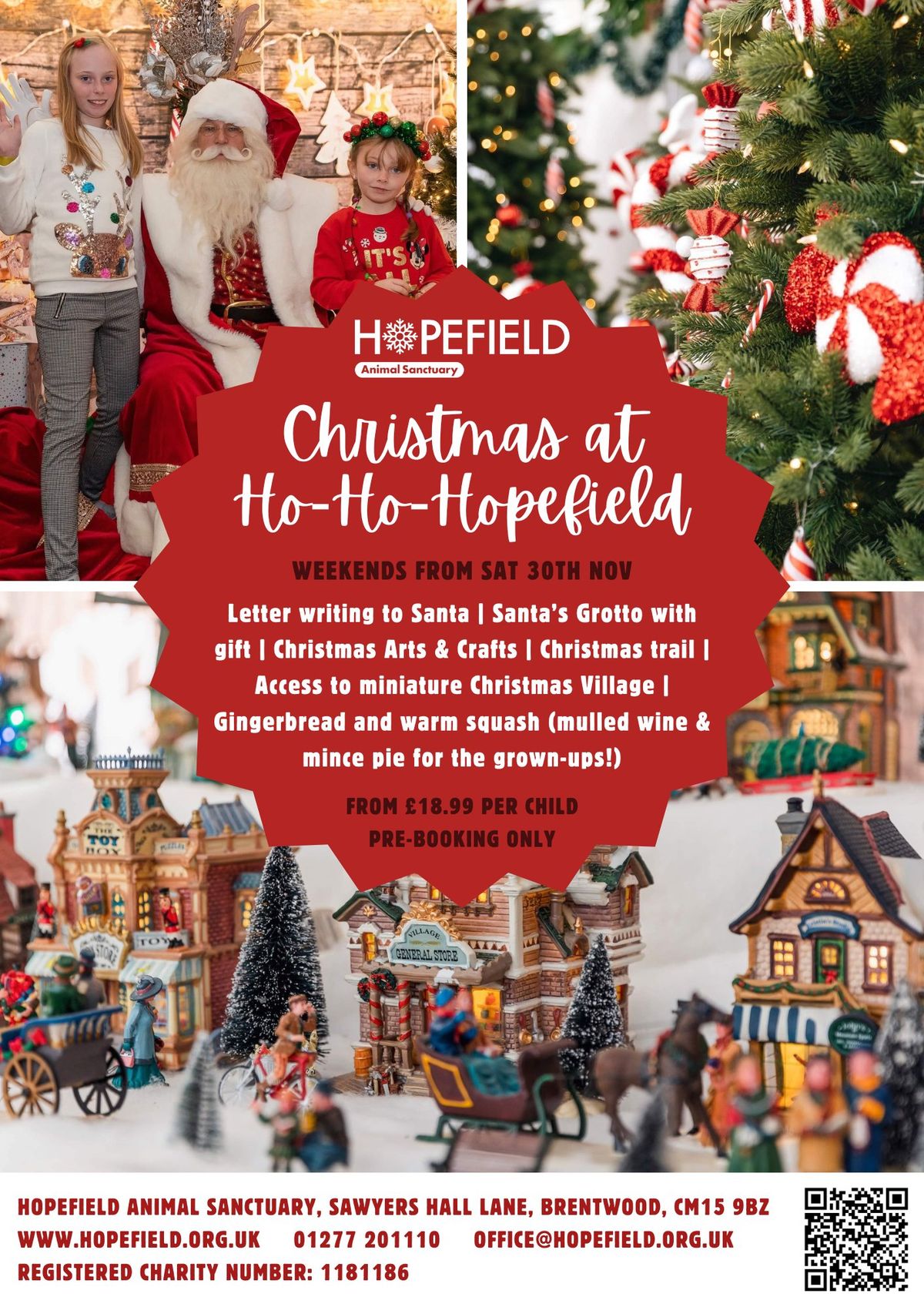 Christmas at Ho-Ho-Hopefield