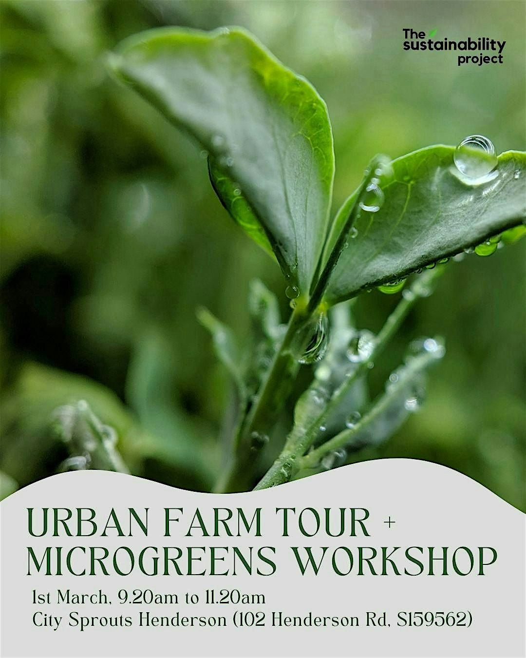 Urban Farm Tour + Microgreens Workshop ($35\/pax, U.P. $40) | Sustainability