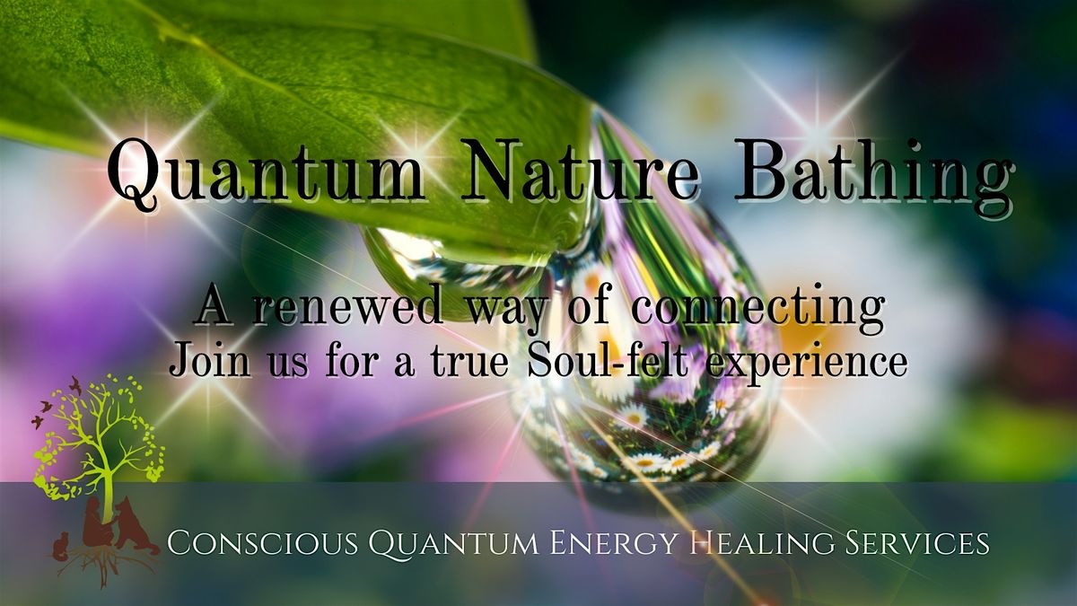 Quantum Nature Bathing Walk & Meditation