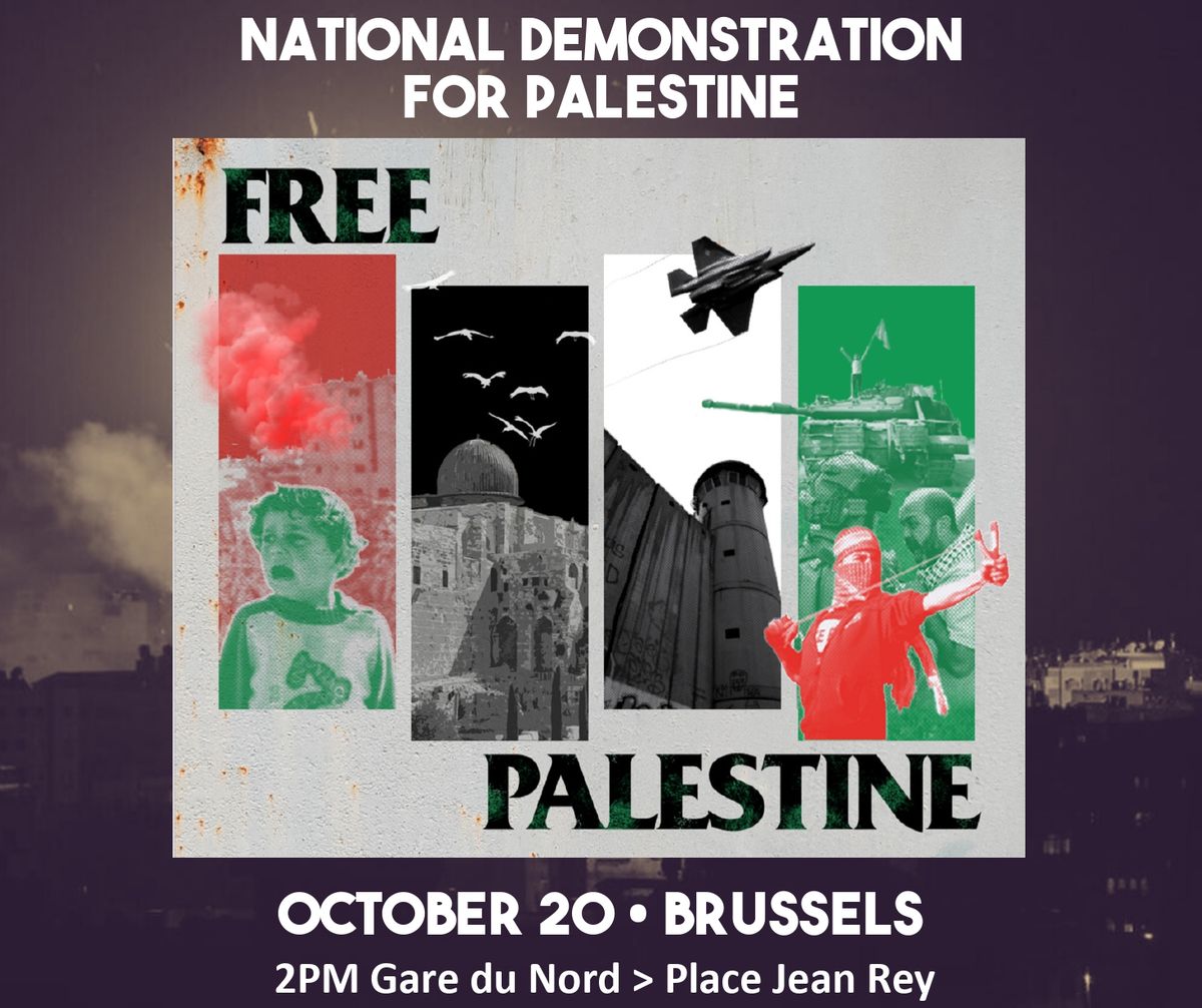 NATIONAL DEMONSTRATION FOR PALESTINE - STOP ARMING ISRAEL\/ MANIF. NATIONALE CESSEZ D'ARMER ISRAEL ! 