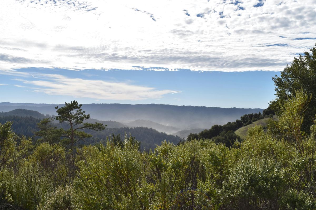 Morning Hike at Skyline Ridge Open Space Preserve