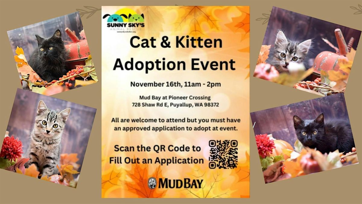 Cat and Kitten Adoption Event!