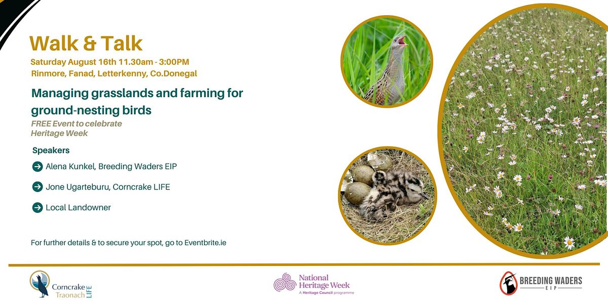 Managing grasslands and farming for ground-nesting birds