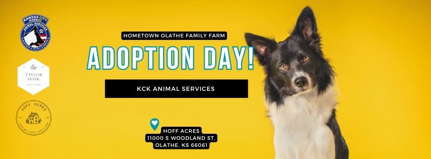 Adoption Day! @ Hoff Acres | Friends of KCK Animal Services | May 17th