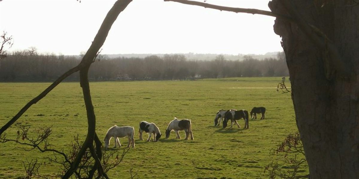 Lunchtime Talk: 'How Enclosure Shaped Oxfordshire's Landscape'