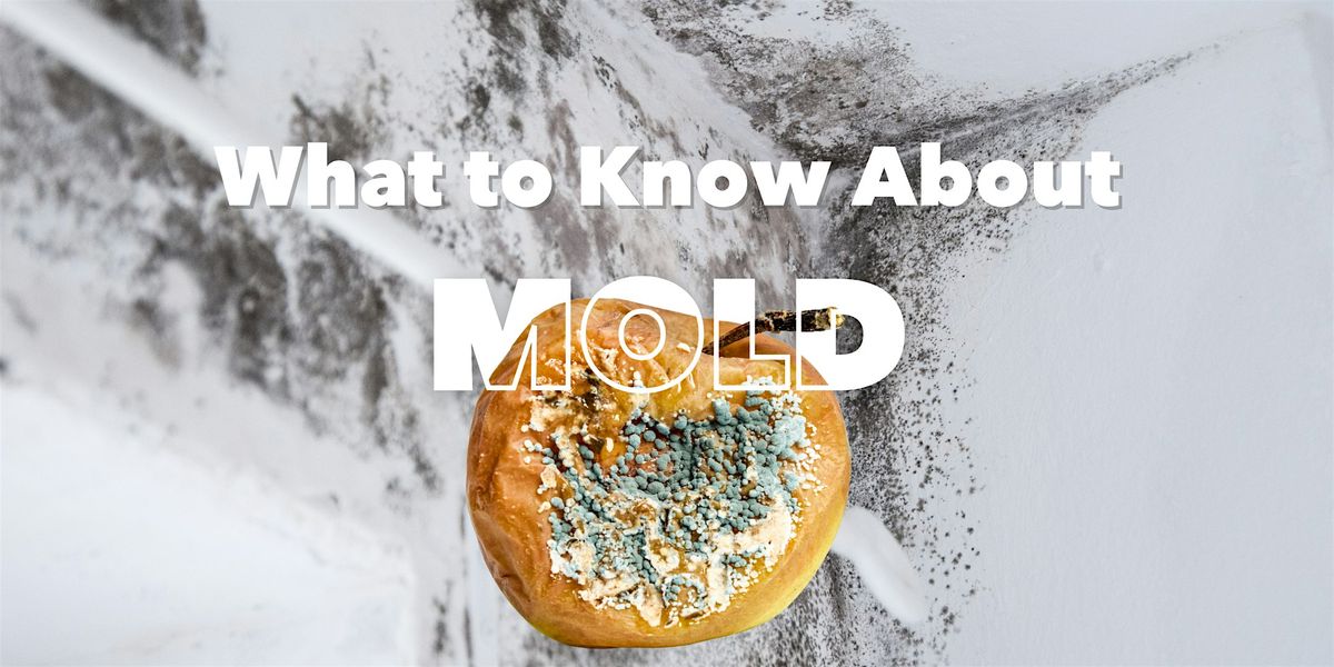 What to Know About Mold