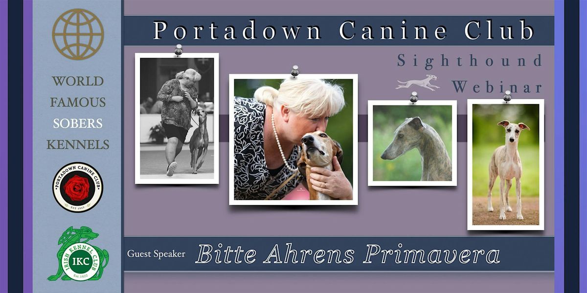 Bitte Ahrens Primavera discusses Greyhounds, Whippets & Italian Greyhounds