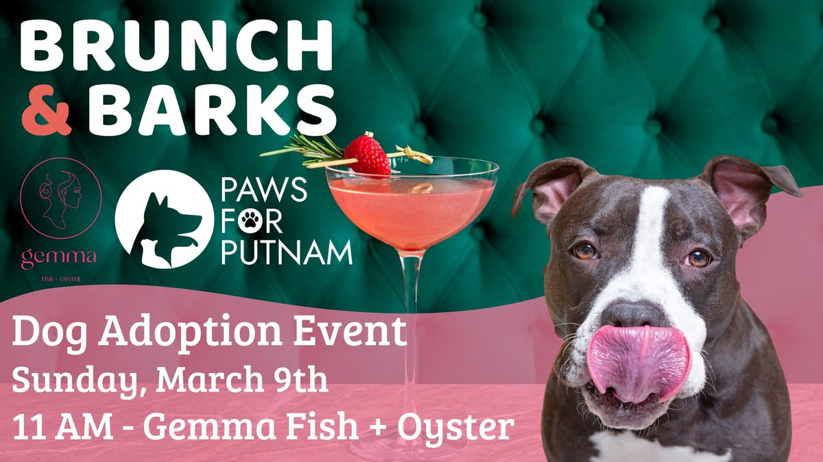 Brunch & Barks - Dog Adoption Event 