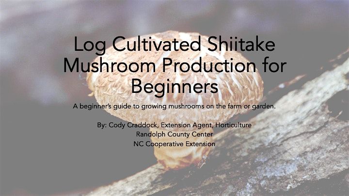 Shiitake Mushroom Growing Workshop